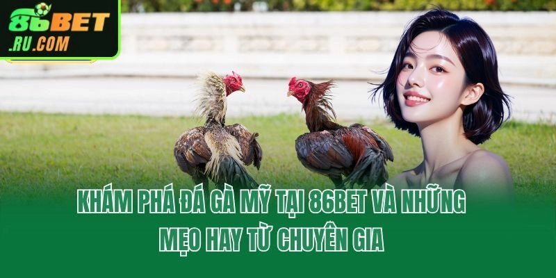 Khám Phá Đá Gà Mỹ Tại 86bet Và Những Mẹo Hay Từ Chuyên Gia