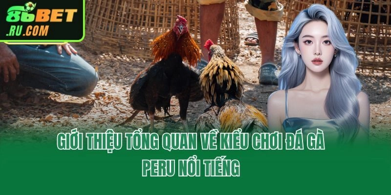 Giới thiệu tổng quan về kiểu chơi đá gà Peru nổi tiếng